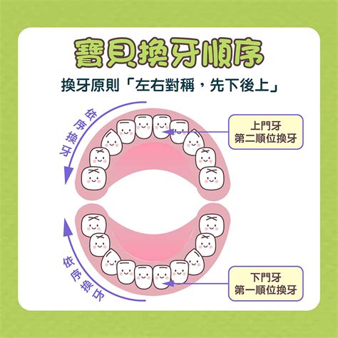 大牙會換牙嗎|換牙順序一次看！兒童換牙時間、注意事項、常。